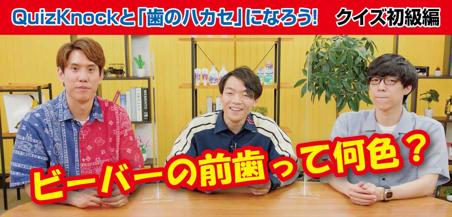 クイズシート Quizknockと 歯のハカセ になろう 上級編 まなびアサヒ Com